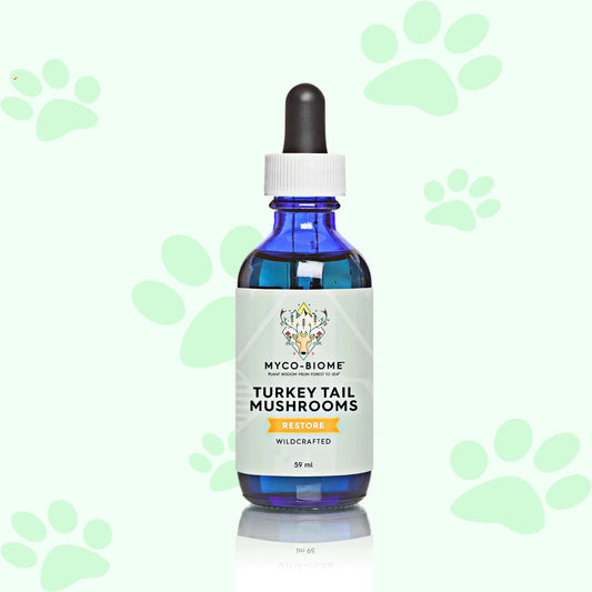 Adored Beast Turkey Tail Mushrooms | Liquid Triple Extract 59 ml - biosense-clinic.com